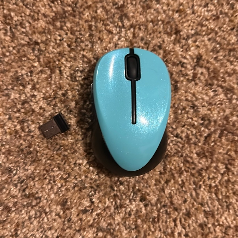 Mouse